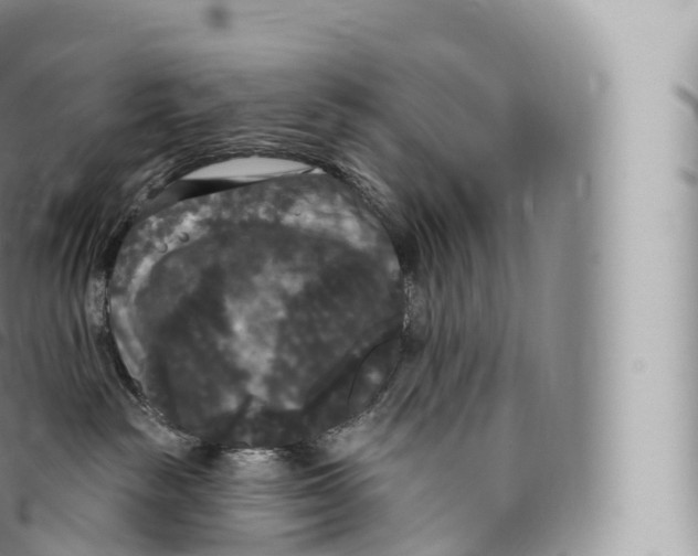 X0000096490189200802141755