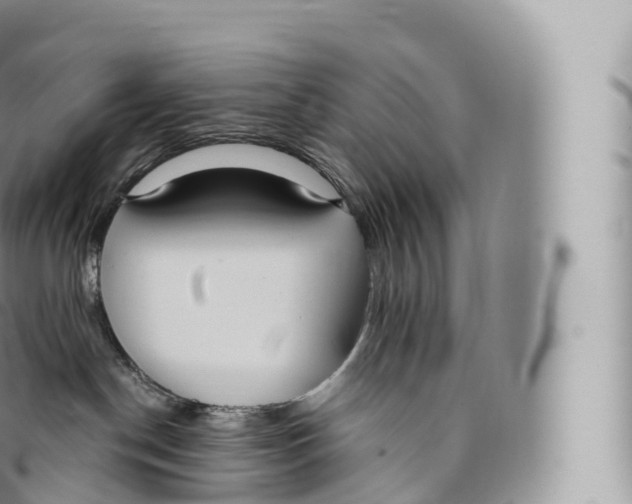 X0000096490190200802141755