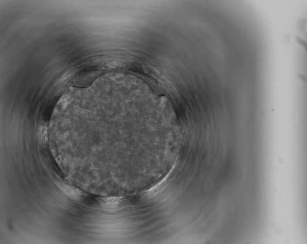 X0000096490191200802141755