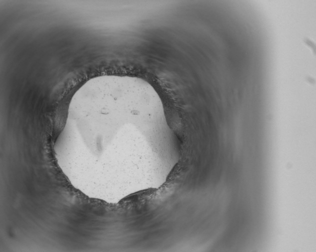 X0000096490192200802141755