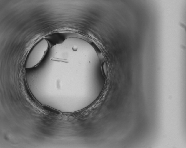 X0000096490193200802141754