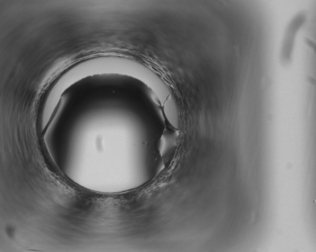 X0000096490197200802141754