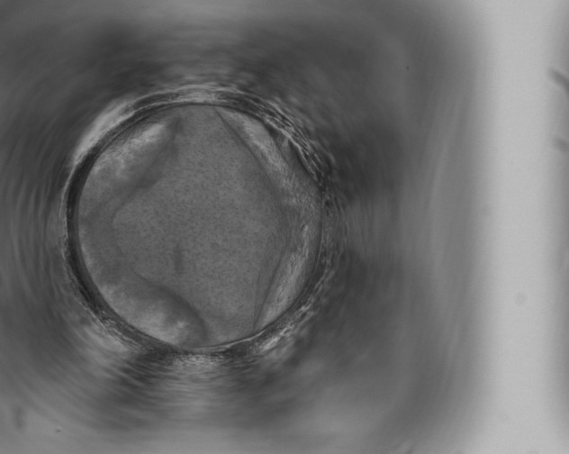 X0000096490198200802141754