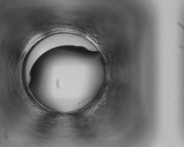 X0000096490199200802141754