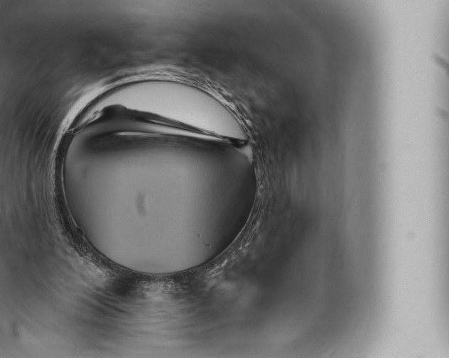 X0000096490200200802141754