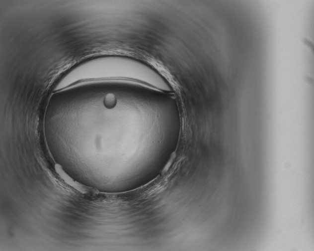 X0000096490201200802141754