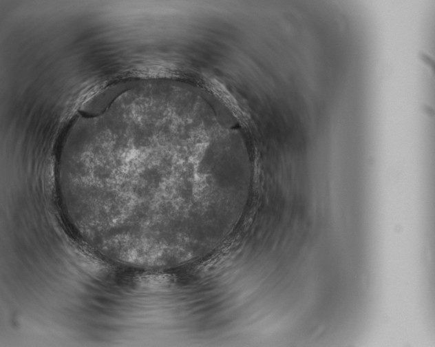 X0000096490202200802141754