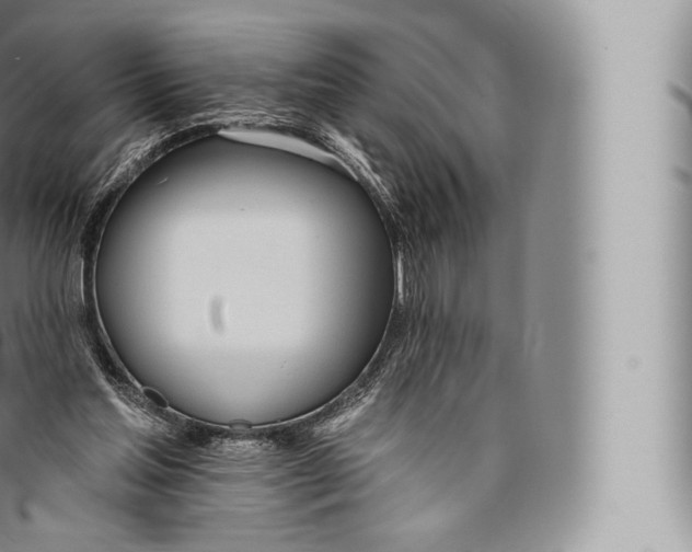 X0000096490205200802141754