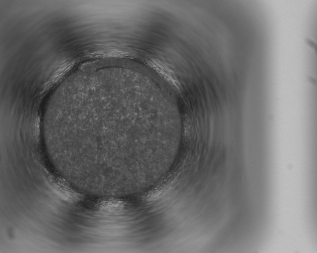 X0000096490206200802141754