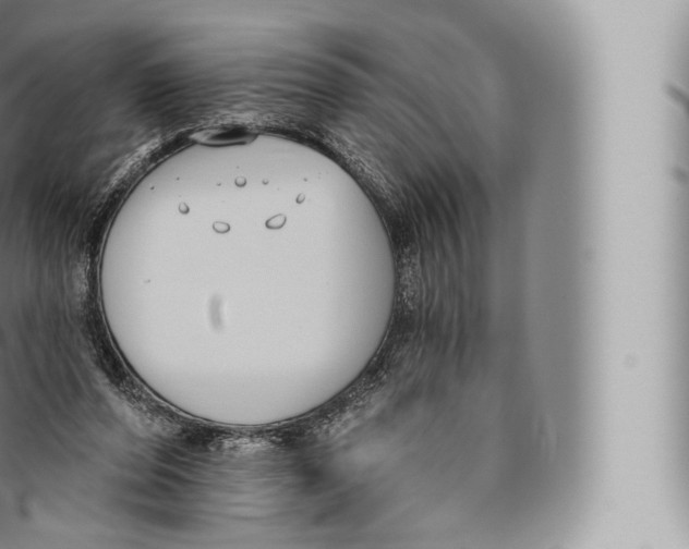 X0000096490208200802141754