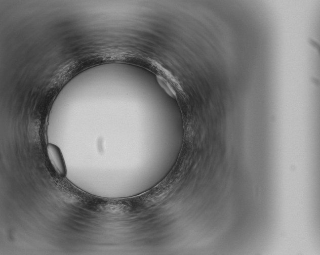 X0000096490209200802141754