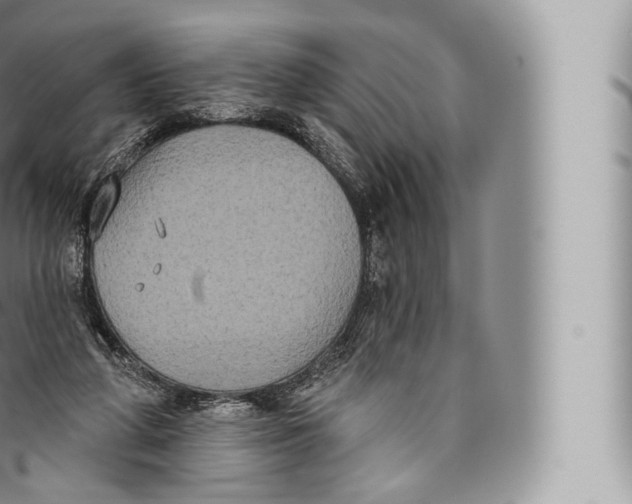 X0000096490210200802141754