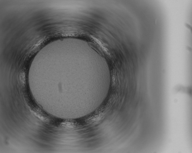 X0000096490211200802141754