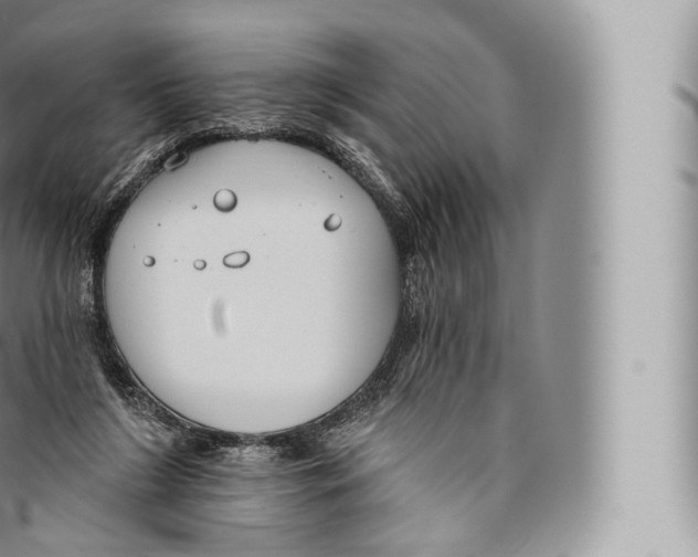 X0000096490212200802141754