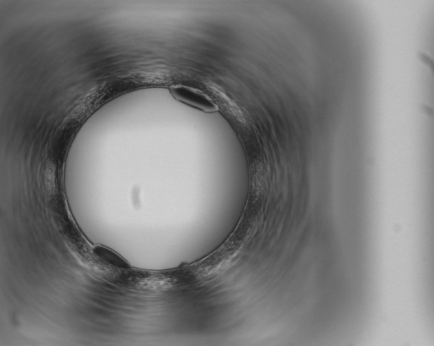 X0000096490213200802141754