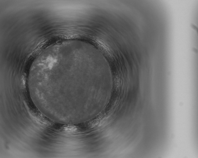 X0000096490214200802141754