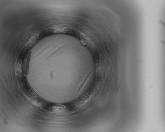 X0000096490215200802141754