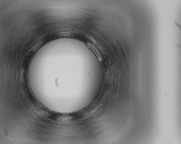 X0000096490217200802141753