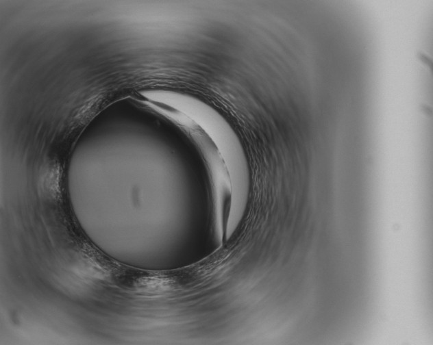 X0000096490219200802141753