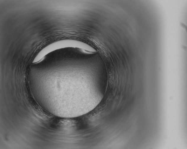 X0000096490221200802141753