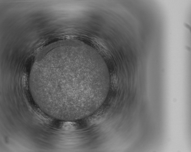 X0000096490222200802141753