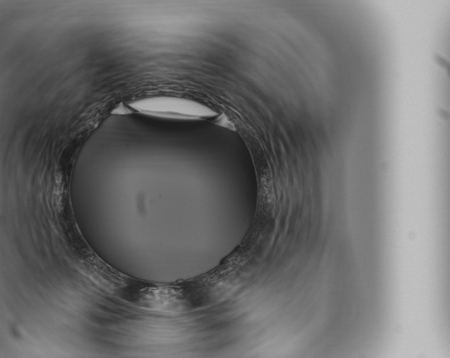 X0000096490223200802141753