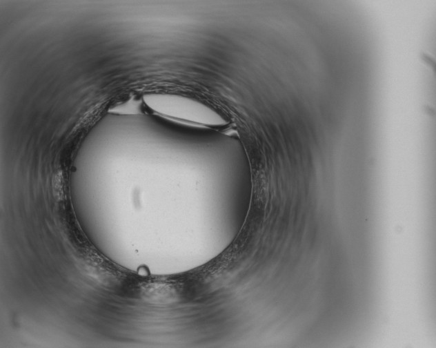 X0000096490224200802141753