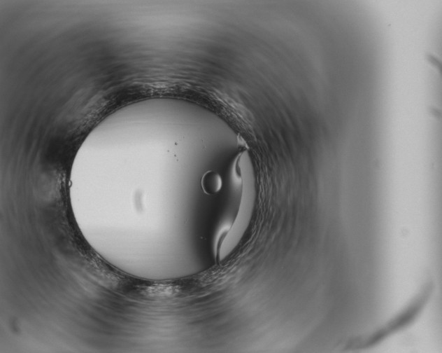 X0000096490225200802141753