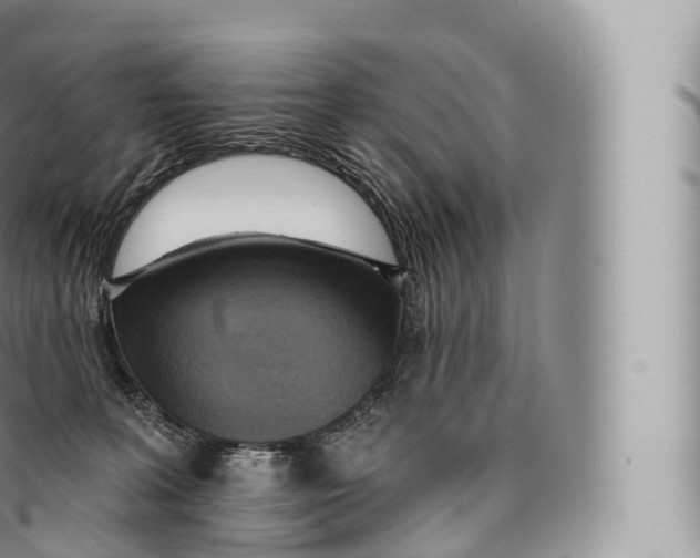 X0000096490227200802141753