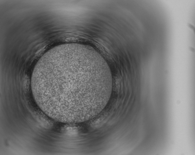 X0000096490228200802141753