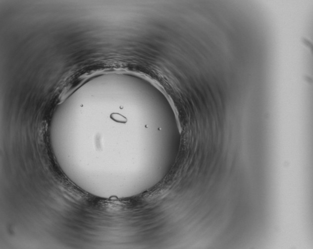 X0000096490229200802141753