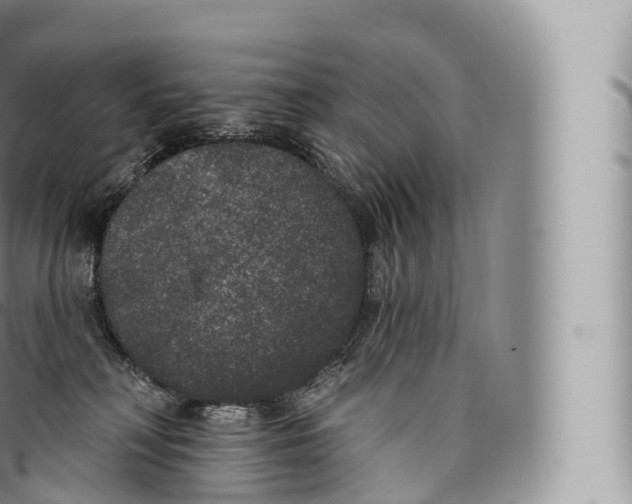 X0000096490230200802141753