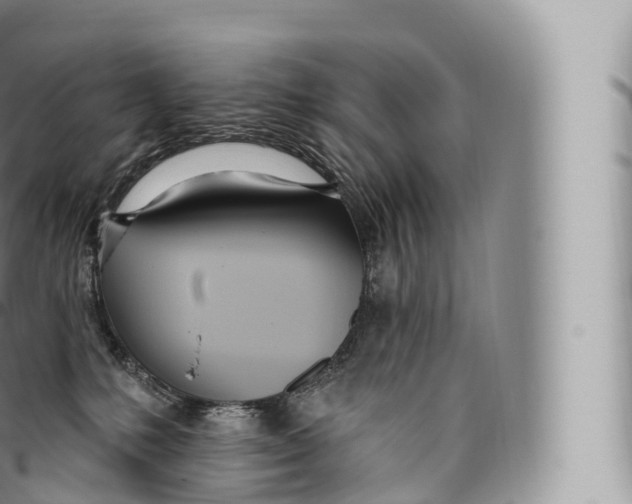 X0000096490231200802141753