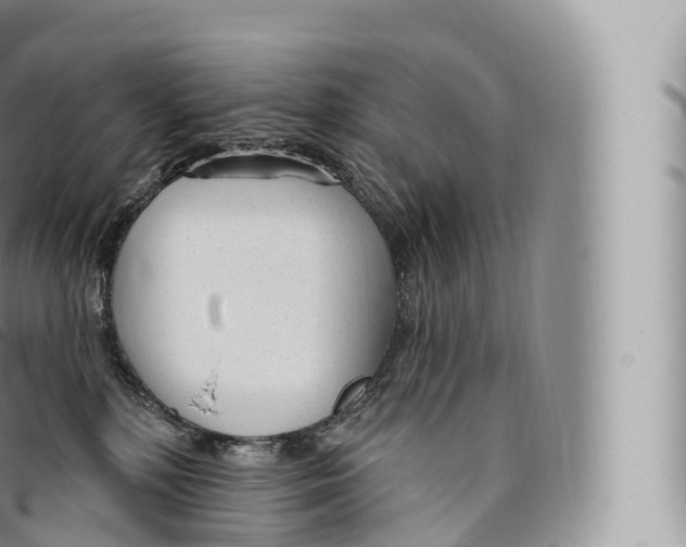 X0000096490232200802141753