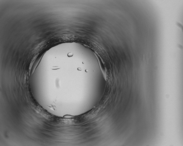 X0000096490233200802141753