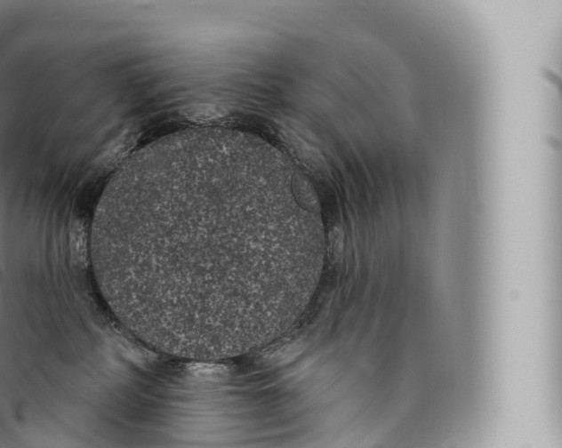 X0000096490234200802141753