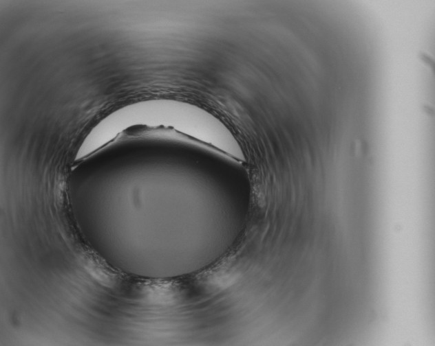 X0000096490235200802141753