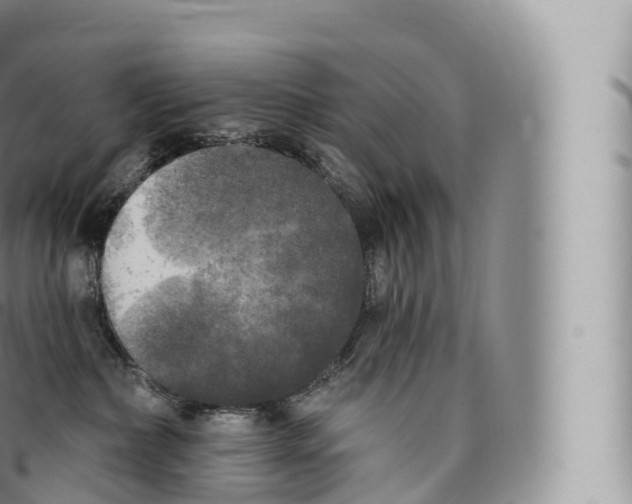 X0000096490236200802141753