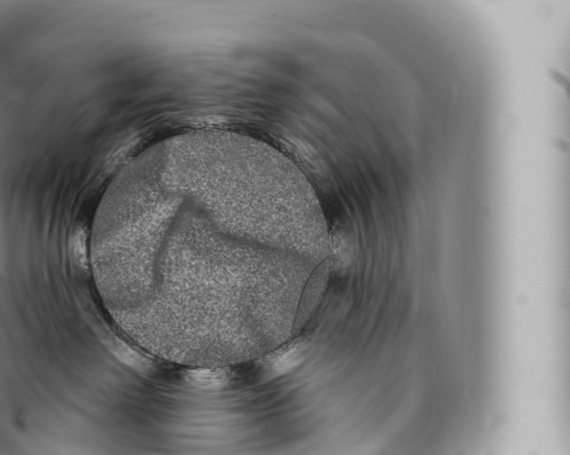 X0000096490238200802141753