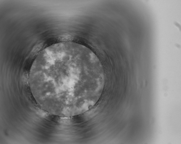 X0000096490240200802141753