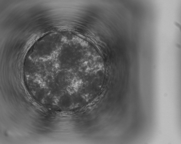 X0000096490241200802141753