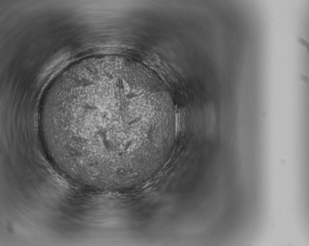 X0000096490243200802141753