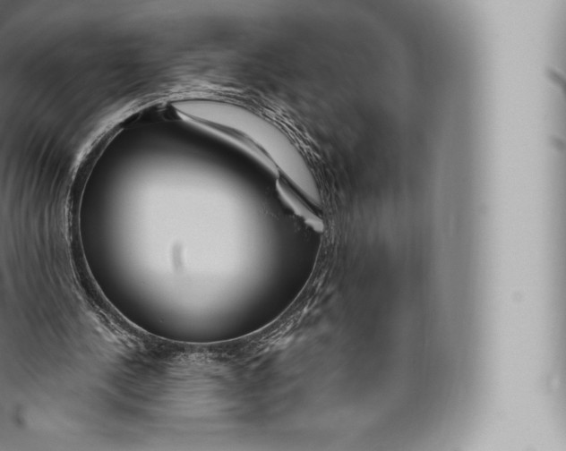 X0000096490244200802141753