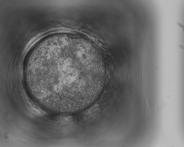 X0000096490247200802141753