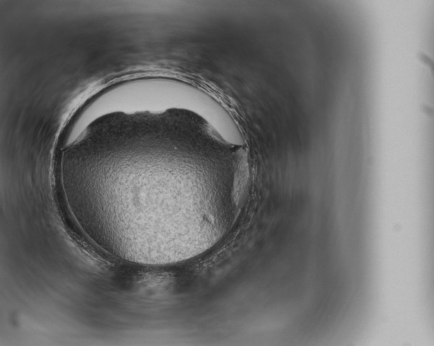 X0000096490248200802141753