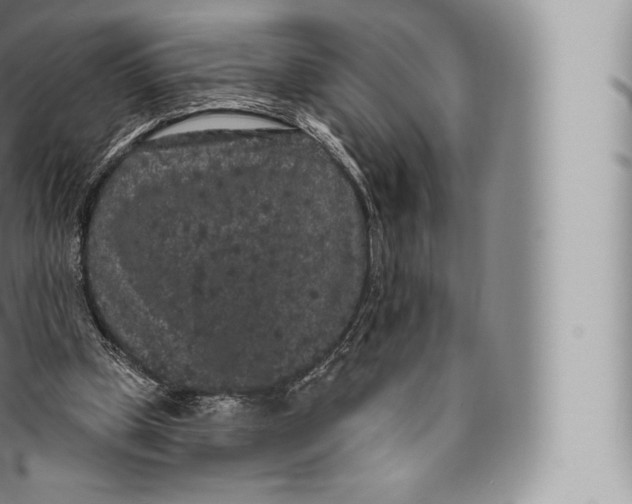 X0000096490249200802141753