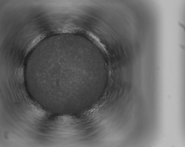 X0000096490250200802141753