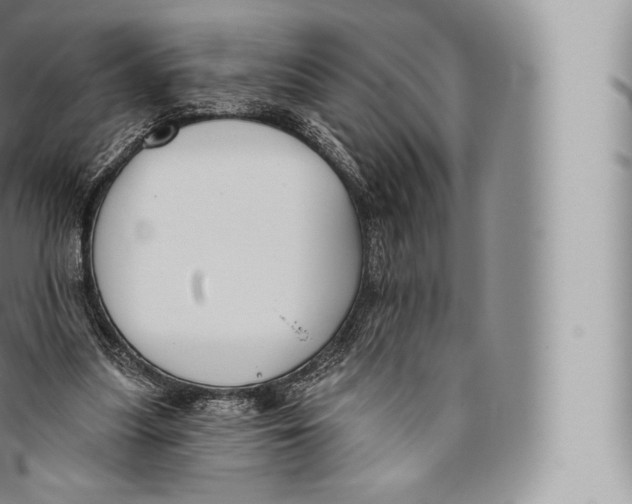 X0000096490251200802141753