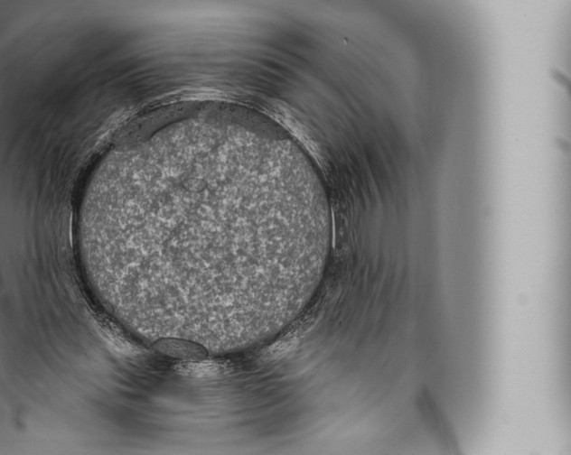 X0000096490253200802141753