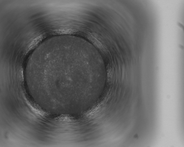 X0000096490254200802141753